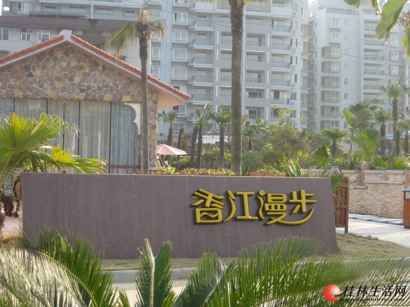 实景图