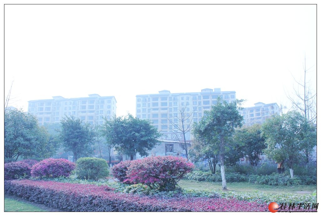 售楼部外景