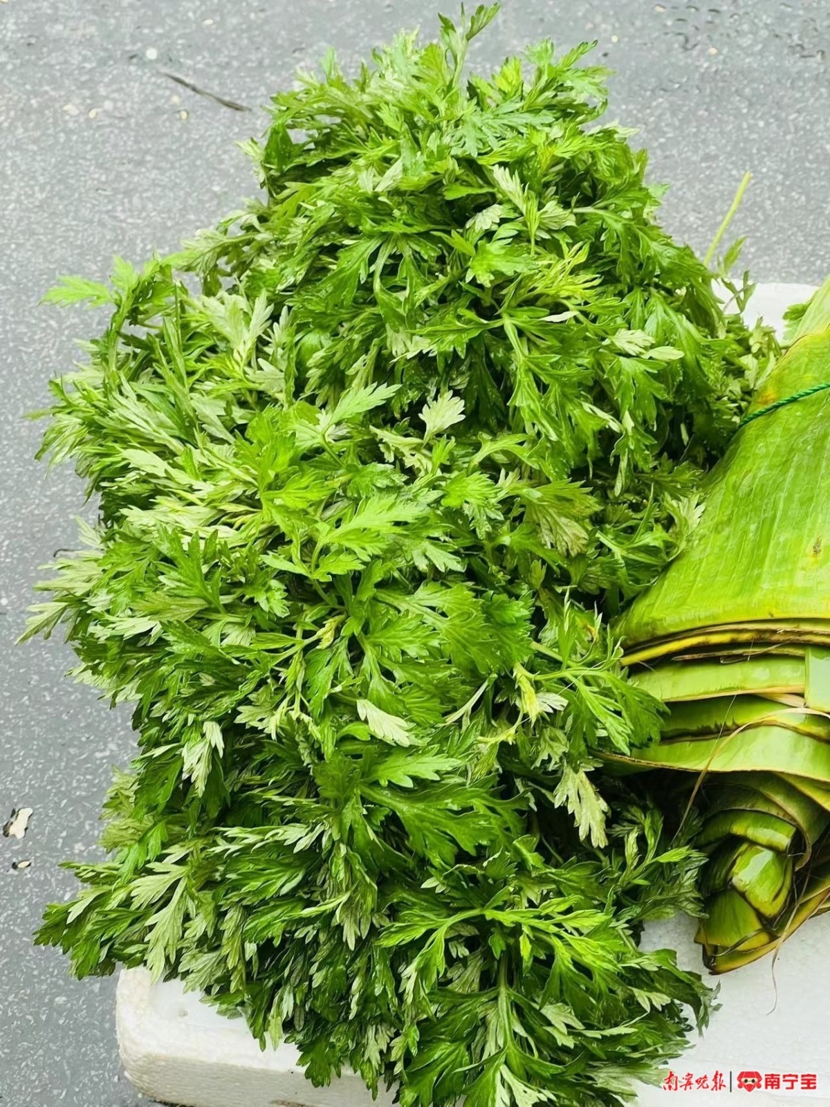 端午节将至，艾草创意产品迎热销